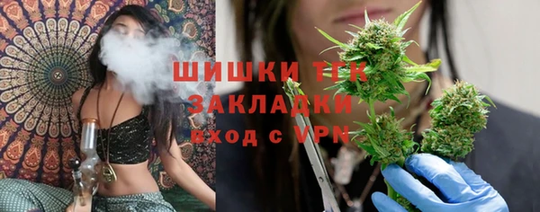 эйфоретик Кулебаки