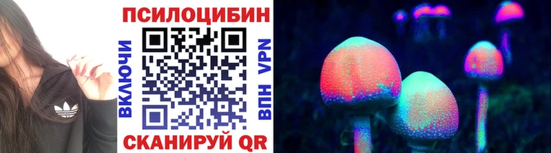 наркота  Тарко-Сале  Псилоцибиновые грибы Psilocybe 