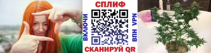 Шишки марихуана марихуана как найти нарко площадка клад Тарко-Сале